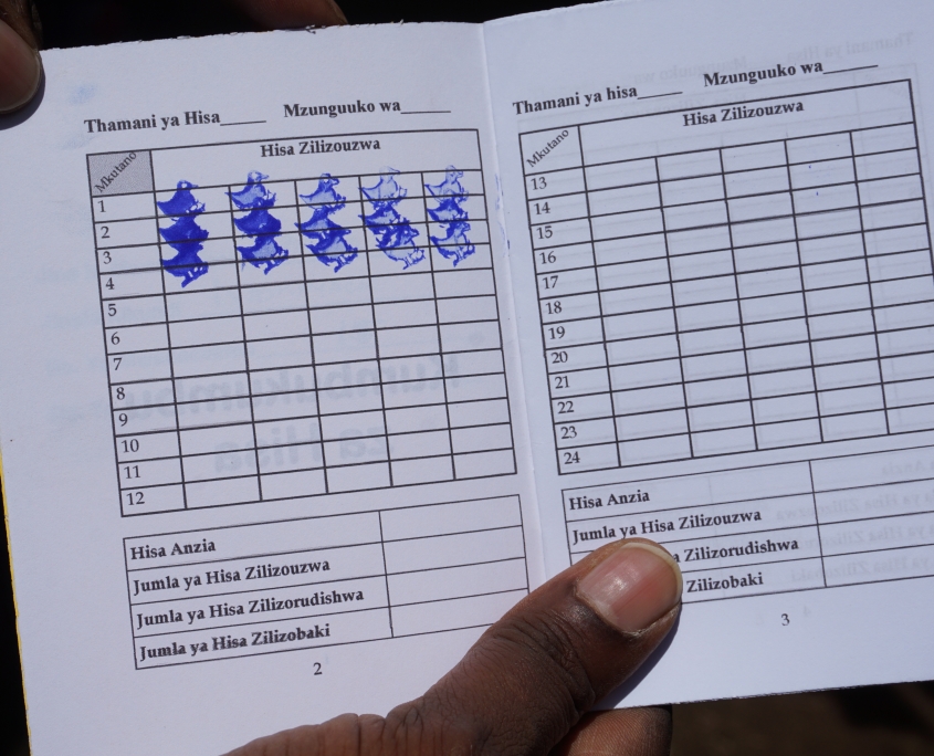 VSLA